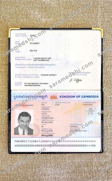 Cambodia passport photo look